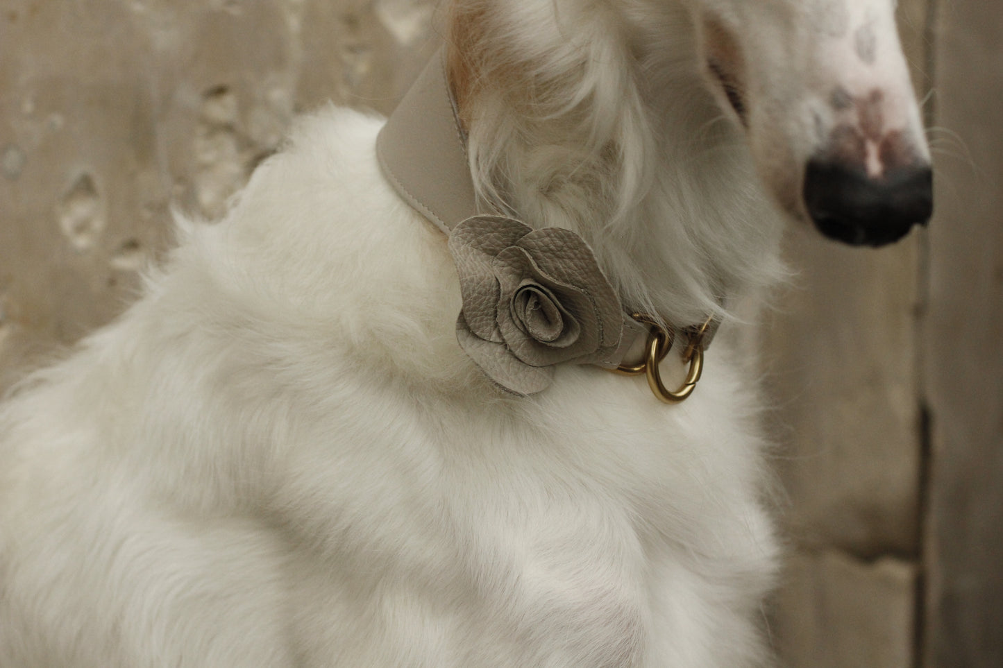 Rosaura Collar pale cream