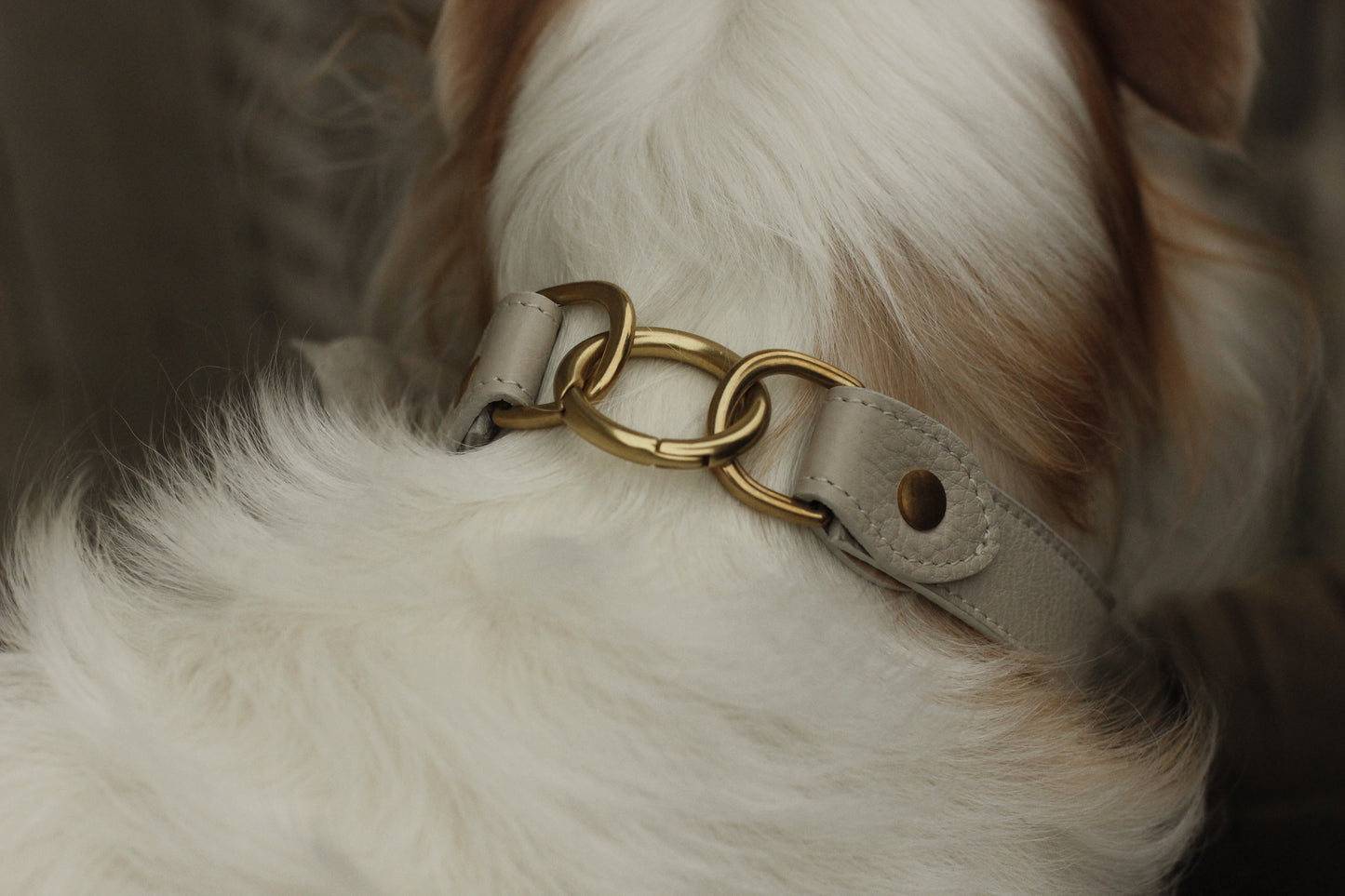 Rosaura Collar pale cream