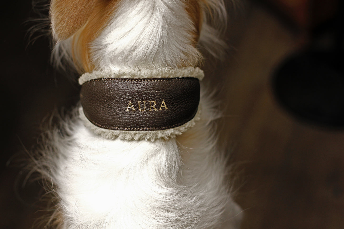 Teddy Collar earth brown
