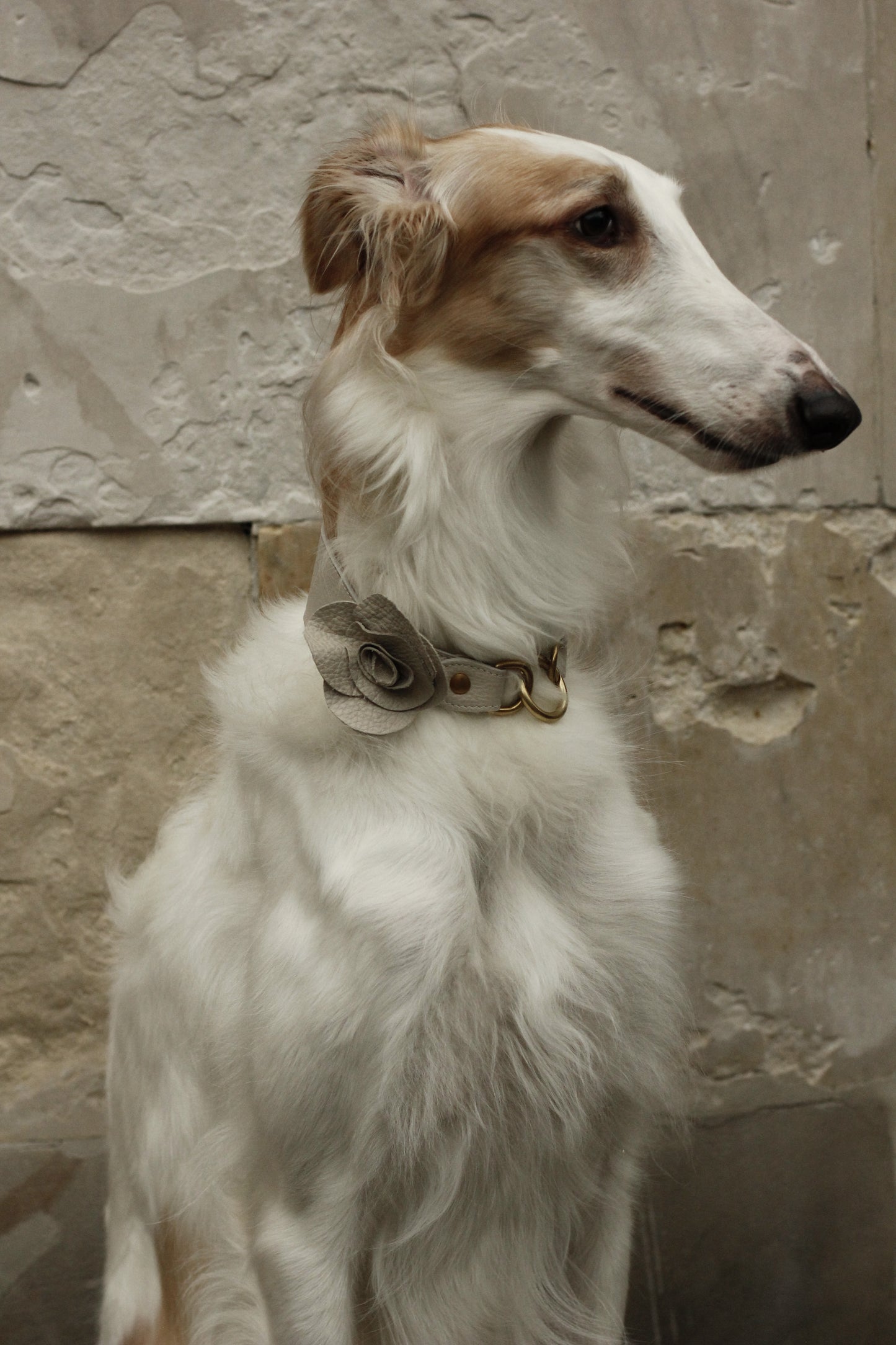 Rosaura Collar pale cream